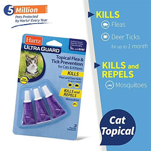 {Updated} List of Top 10 Best flea & tick prevention for cats in Detail