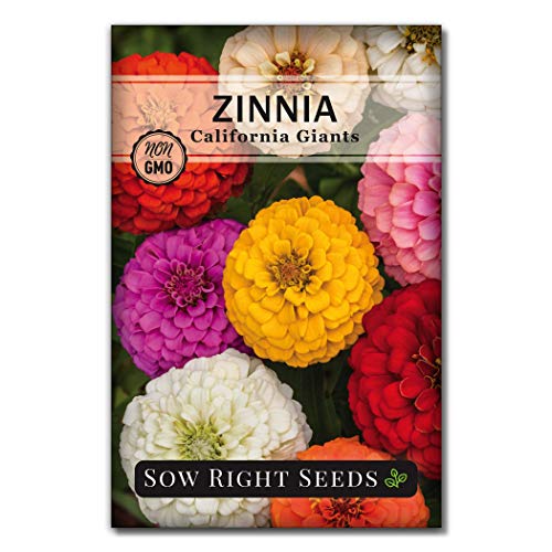 Sow Right Seeds - California Giants Mix Zinnia Seeds for Planting - Non-GMO Heirloom Packet to Grow Your Flower Garden - Attract Bees and Butterflies - Great to Cut and Come Again - Summer Annual (1)