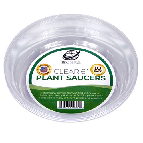 YOUniversal Products Plant Saucers (Pack of 10) - 6” Clear Durable Plant Saucer for Indoor & All-Weather Outdoor Use - Catch Dirt & Water from Plant Pots to Stop Messes & Stains in Your Home & Garden
