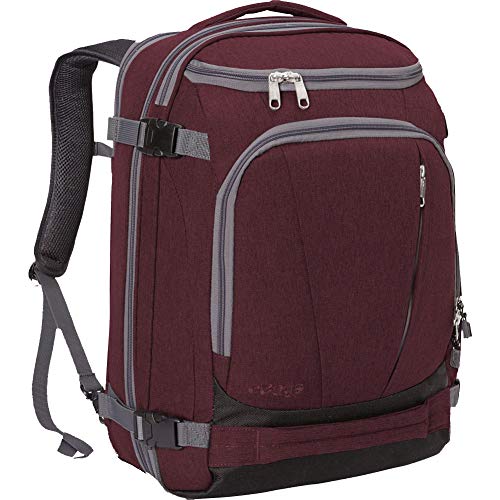 eBags Mother Lode Jr Travel Backpack - Bags (Garnet)