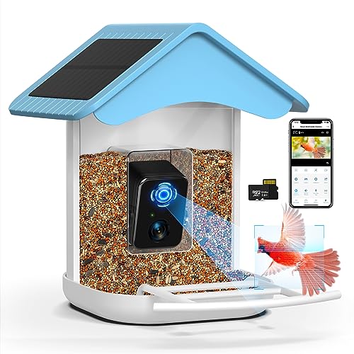 BROAIMX Smart Bird Feeder Camera, Free AI Forever, 2023 Newest 1080P HD Camera Auto Capture Bird Videos & 2 Pcs Solar Panel, App Notify When Birds Detected, 64G High-Speed TF Card