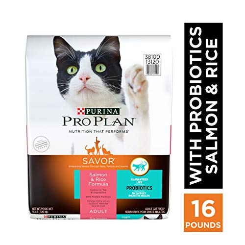 purina pro plan with probiotics dry cat food