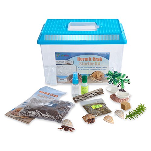 Nature Gift Store Live Pet Hermit Crab Complete Starter Kit - Shipped with 2 Live Crabs