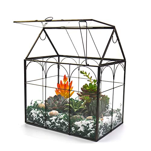 Large Tall Plant Greenhouse Terrarium Glass with Lid, 8.7'X5.9'X10.6' Inches Indoor Tabletop Orchid Succulent Cacti Terrarium Kit NA (House Black A)