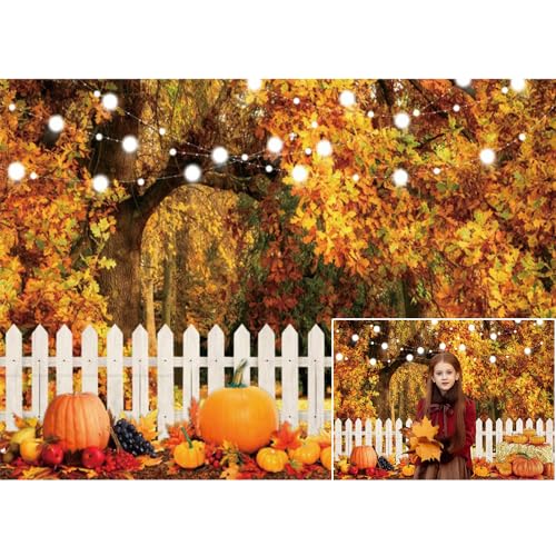 Fall Thanksgiving Backdrop for Photography Party Decorations Autumn Forest Pumpkin Photo Background Thanksgiving Farm Harvest Hay Stack Backdrop Kids Adults Baby Shower Birthday Studio Props 10x6.5ft