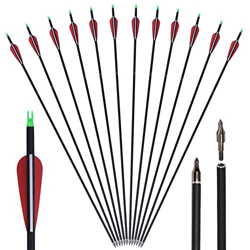 Huntingdoor 30' Archery Carbon Target Arrows Hunting Arrows with Adjustable Nock and Replaceable Field Points for Compound Bow or Recurve Bow (Pack of 12)