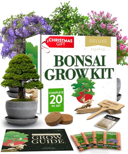 Bonsai Tree Kit – Easy to Grow 4 Species of Bonsai w/Our Complete Plant Kit: Bonsai Pots & Peat Pellets Including a Bonus in-Depth Grow Guide | Great Gardening Gifts for Women and Men