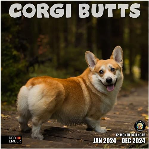 RED EMBER Corgi Butts 2024 Hangable Monthly Wall Calendar | 12' x 24' Open | Thick & Sturdy Paper | Giftable | Kids Teen Funny Joke Cute Dog | Look at These Little Rumps