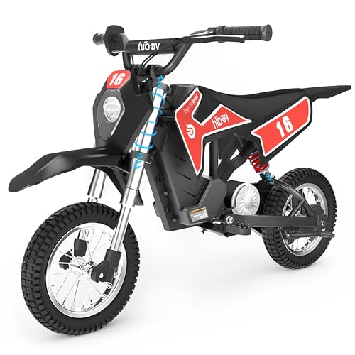 Hiboy DK1 36V Electric Dirt Bike,300W Electric Motorcycle - Up to 15.5MPH & 13.7 Miles Long-Range,3-Speed Modes Motorcycle for Kids Ages 3-10