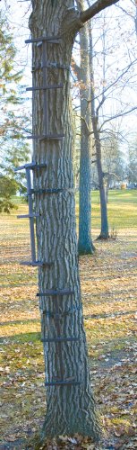 Guide Gear Quick Tree Climbing Sticks 8’Aider Ladder Steps for Treestands Deer Hunting Gear and Accessories, 3 Pack