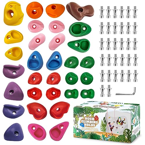 TOPNEW 32 Rock Climbing Holds Multi Size for Kids, Adult Rock Wall Holds Climbing Rock Wall Grips for Indoor and Outdoor Playground Play Set - includes 2 Inch Mounting Hardware