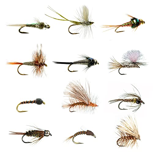 Fly Fishing Flies for Colorado - Colorado Fly Fishing Fly Assortment - The Best Trout Flies and Fishing Lures - Premium Fly Fishing Assortment for Colorado Rivers and Lakes