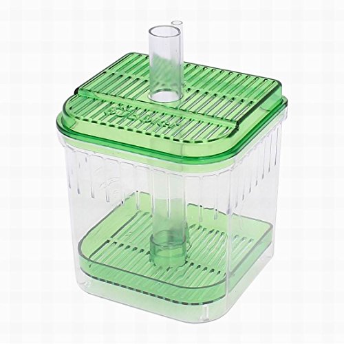 Houseuse Plastic Fish Tank Aquarium Square Water Transfer Filter Bottom Box Clear Green