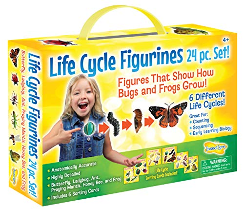 Insect Lore Life Cycle Figurines 24 Pc Set, Brown/a
