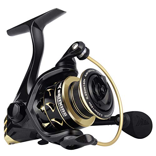 KastKing Valiant Eagle Spinning Reels, Black Gold Fishing Reel, Size 4000