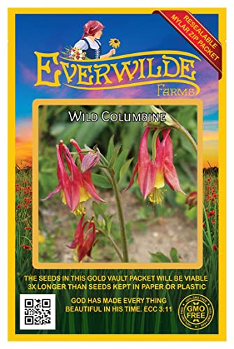 Everwilde Farms - 300 Wild Columbine Native Wildflower Seeds - Gold Vault Jumbo Seed Packet