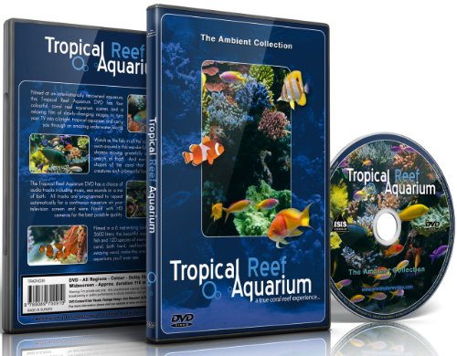 Tropical Reef Aquarium