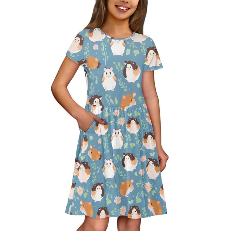 Jndtueit Cartoon Guinea Pig Toddler Girls Short Sleeves Loose Dress, Hamster Party Holiday Dress for Kids 4-16 Y, Blue Children Crew Neck T-Shirt Dress