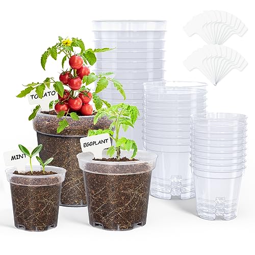 Homenote Clear Nursery Pots for Plants,3/4/5 Inch Seedling Pots with Drainage Holes Plant Pot for Planting Flower Indoor Seed Starter Pot Outdoor High Transparency with Bonus 20 Plant Labels (30 Pack)