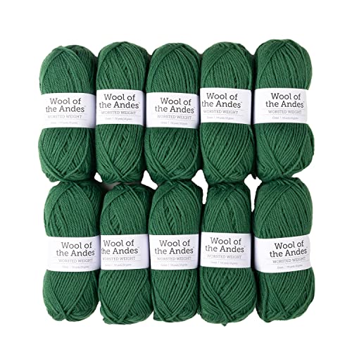 Knit Picks Wool of The Andes Worsted Weight Green 100% Wool Yarn (10 Balls - Grass)