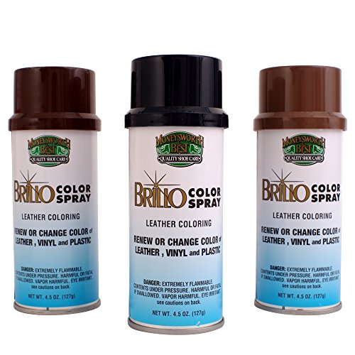 JWONG Moneysworth & Best Brillo Color Spray Leather Coloring 017 WHITE 4.5 OZ