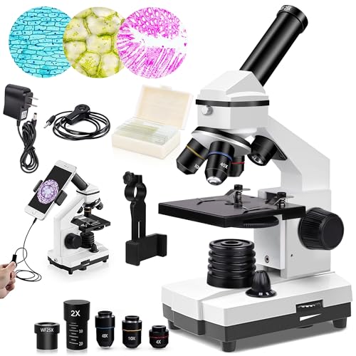 PalliPartners Compound Microscope Powerful Biological Microscopes for School Laboratory Home Education,100X-2000X Microscopes for Kids Students Adults, with Microscope Slides Set, Phone Adapter, White