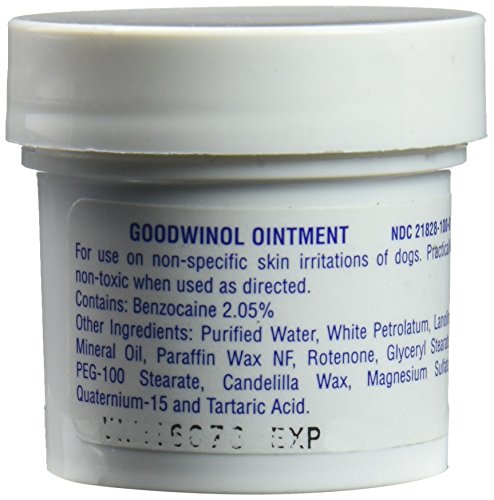 Goodwinol GOODOINT Ointment, 1 oz.