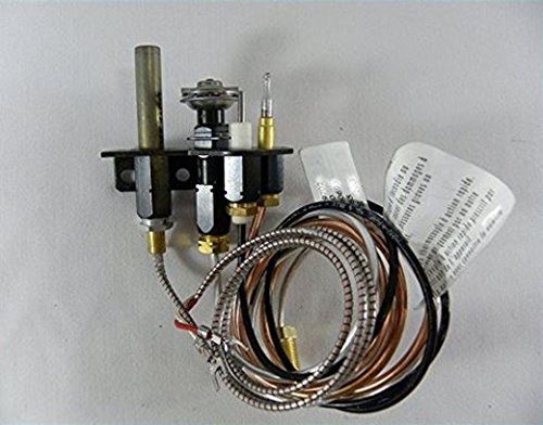 Napoleon Propane Gas Pilot Assembly for Direct Vent Fireplaces WS-100-39
