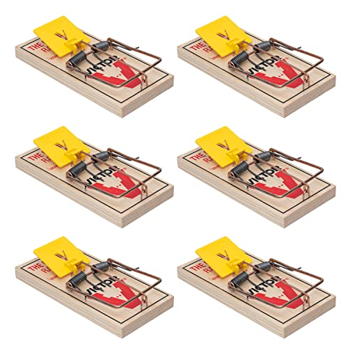 Victor M205-6 Easy Set Plastic Pedal Sustainably Sourced FSC Wood Humane Snap Rat Trap - 6 Wooden Traps