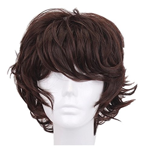 Alibuy 13 Inch Dark Brown Short Curly Anime Cosplay Wigs with Bang for Men Costume Halloween Party