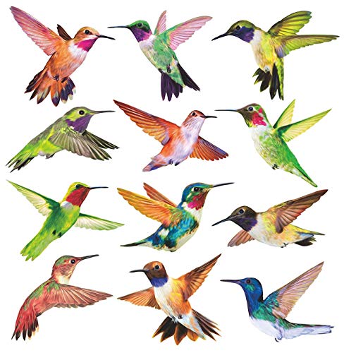 Anti-Collision Window Clings Bird Alert Collision Decals to Prevent Bird Strikes on Window Glass - Set of 12 Hummingbirds