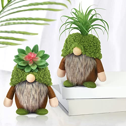 Succulent Gnomes Summer Green Plants Gnomes Swedish Plush Tiered Tray Decoration Tomte Doll Decor Cacti Nordic Dwarf Spring Home Stuffed Gnomes Collection Garden Gift for Her Him Plant Lover