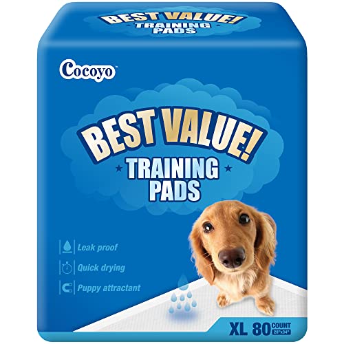 COCOYO Best Value Training Pads, 28' by 34' XL, 80 Count,Blue and White