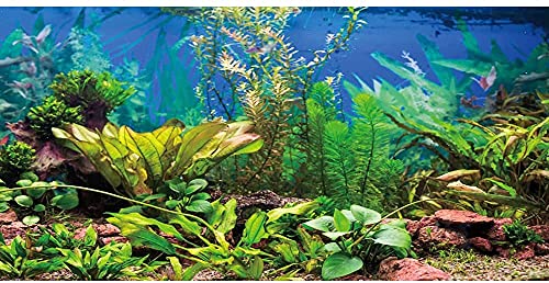 AWERT 48x18 inches Aquarium Background Aquatic Plant River Bed & Lake Fish Tank Background Vinyl