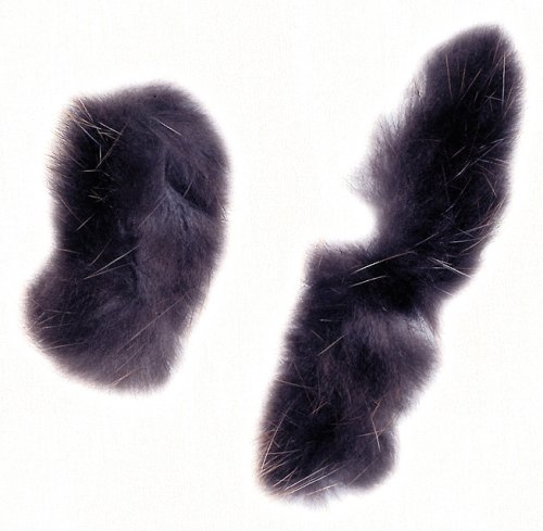 Martin Archery Beaver Ball String Silencers