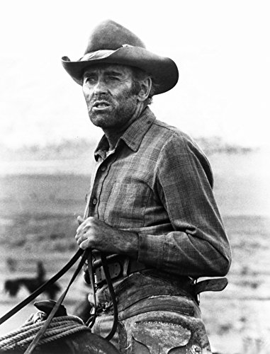 The Cheyenne Social Club Henry Fonda 1970 Photo Print (8 x 10)