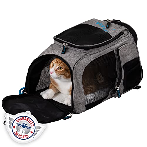 Sherpa 2-in-1 Backpack Travel Pet Carrier, Airline Approved & Guaranteed On Board - Gray, Medium (Brick & Mortar Version)