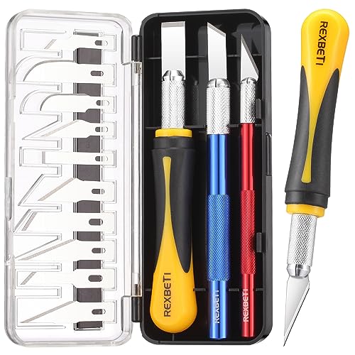 REXBETI 16 Piece Precision Hobby Craft Knife Set, with 10 Piece Refill SK5 Blades, Suitable for Halloween Pumpkin Carving, Art Modeling, Scrapbooking and Sculpture