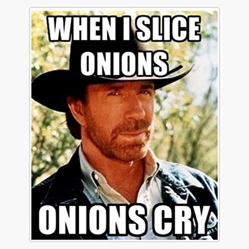 Generic Chuck Norris Sticker Decal Bumper Sticker 5 in, Clear