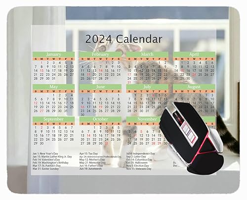 YENDOSTEEN Special Design 2024 Calendar Mouse Pad,Sky Rocks Palm Ocean Non-Slip Rubber Base Mousepad Type 927