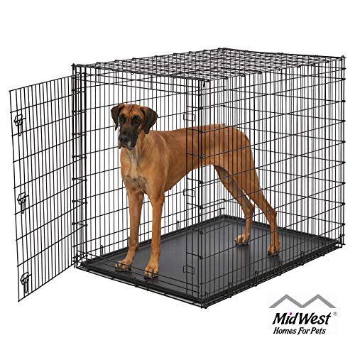 MidWest Homes for Pets SL54DD 'Ginormus' Single Door Dog Crate for XXL for the Largest Dogs Breeds, Great Dane, Mastiff, St. Bernard