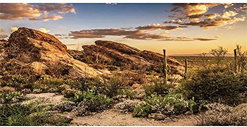 AWERT Reptile Habitat Background Blue Sky Oasis Cactus Sun and Desert Terrarium Background 36x18 inches Durable Polyester Background