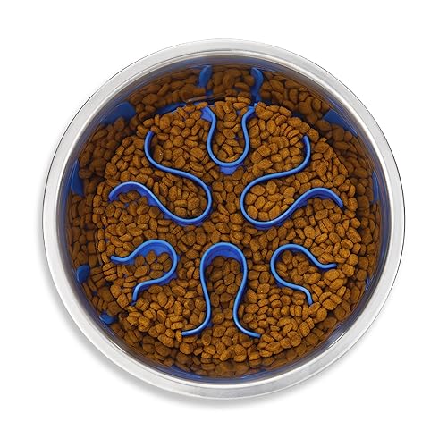 Outward Hound Fun Feeder Stainless Steel Slo Bowl Slow Feeder Stainless Steel Dog Bowl with Slow Feeder Insert, Silver Gray, Medium