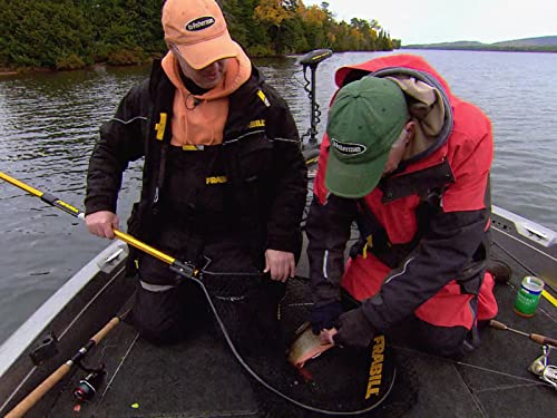 Lake Superior Splake