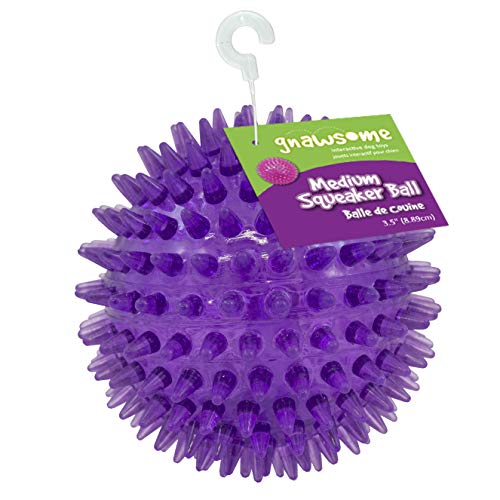 Gnawsome Medium Squeaker Ball Dog Toy, Medium 3.5', Colors will vary, All Breed Sizes