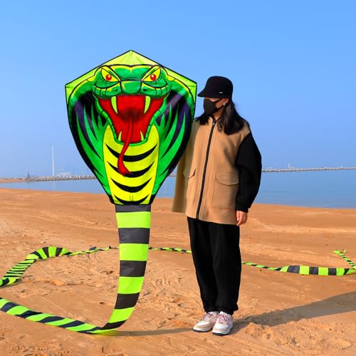 WEICAFLY 50ft Length Large Snake Kites with 330 Feet Kite String Handle The Kites for Kids and Adults Easy to Fly Kites for Beginner Boys and Girls Kites for The Beach Outdoor Fun Sports Kite