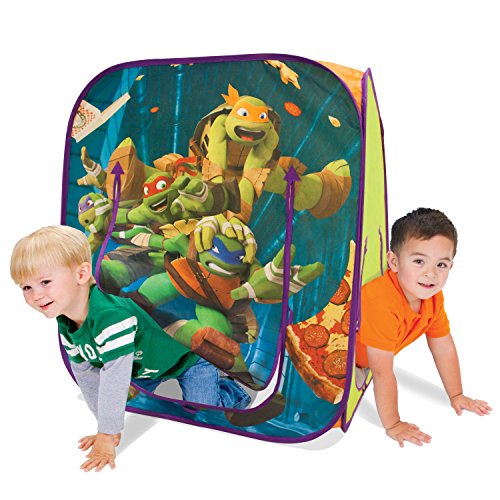 ninja turtle playhouse