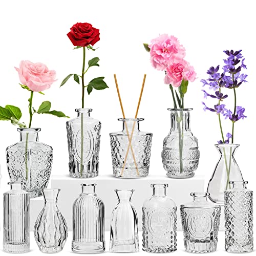 12 Pack Flower Vase, RUCKAE Bud Vases for Wedding Decorations,Glass Vase for Centerpiece Table Decorations,Small Boho Vase for Home Decor,Wedding Decor,Centerpieces,Party,Office Transparent
