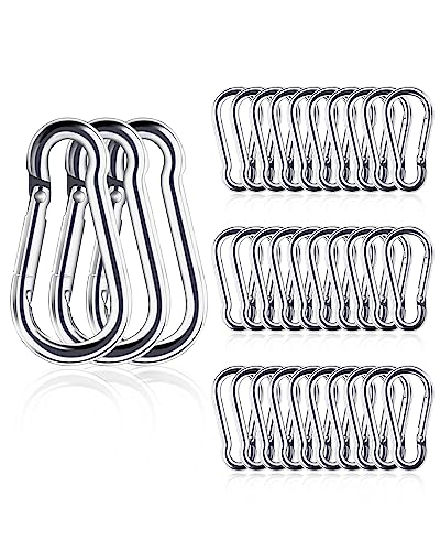 Small Carabiner Ciip, 30pcs 1.57inch Mini Carabiners Clips, M4 Stainless Steel Spring Snap Hook Heavy Duty, Locking Carribenares for Climbing Hiking Camping Fishing