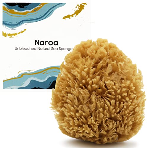 Naroa Exfoliating Natural Sponge for Bathing | Bath Sea Sponge for Healthy Skin | Unbleached Shower Body Scrubber Puff | Eco Friendly Plastic Free Sponge (Exfoliate - Small)